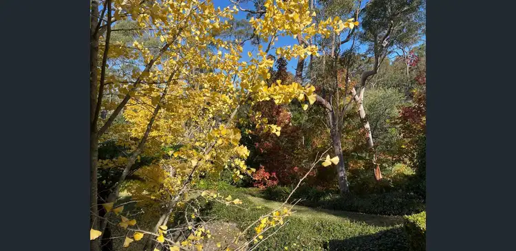 Third view of Homely rural property listing, 30 Wylds Road, Glenorie NSW 2157