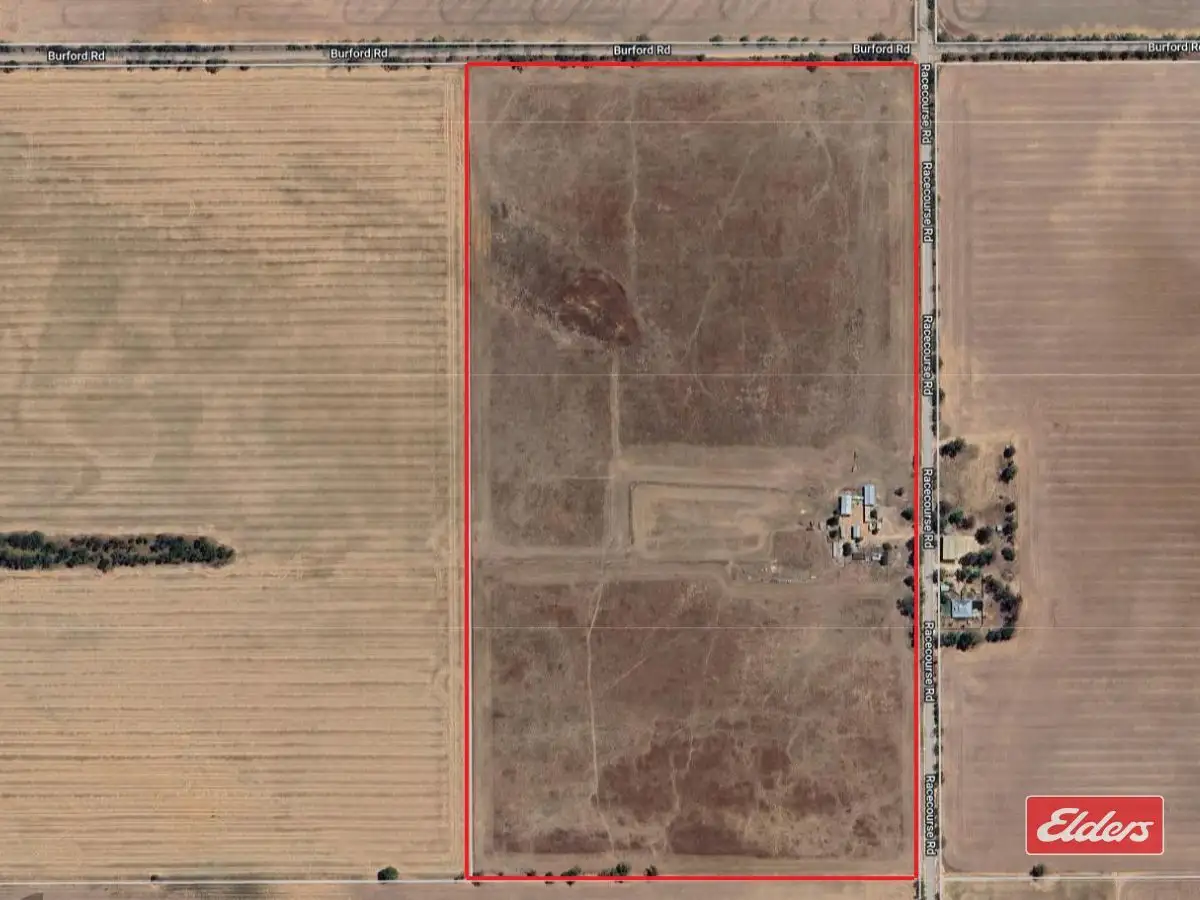 Main view of Homely rural property listing, 976 Racecourse Road, Balaklava SA 5461
