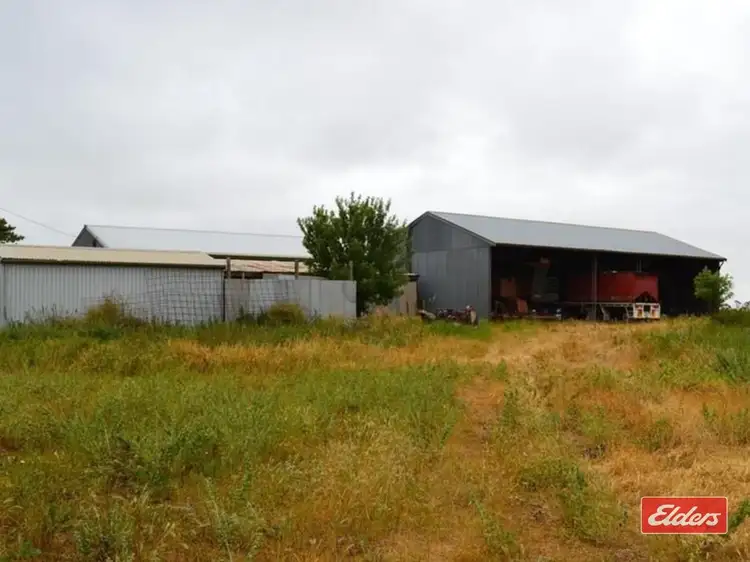 Fifth view of Homely rural property listing, 976 Racecourse Road, Balaklava SA 5461