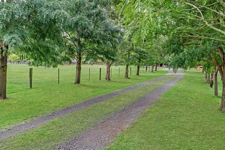 Second view of Homely rural property listing, 498 Codrington Bessiebelle Road, Codrington VIC 3285