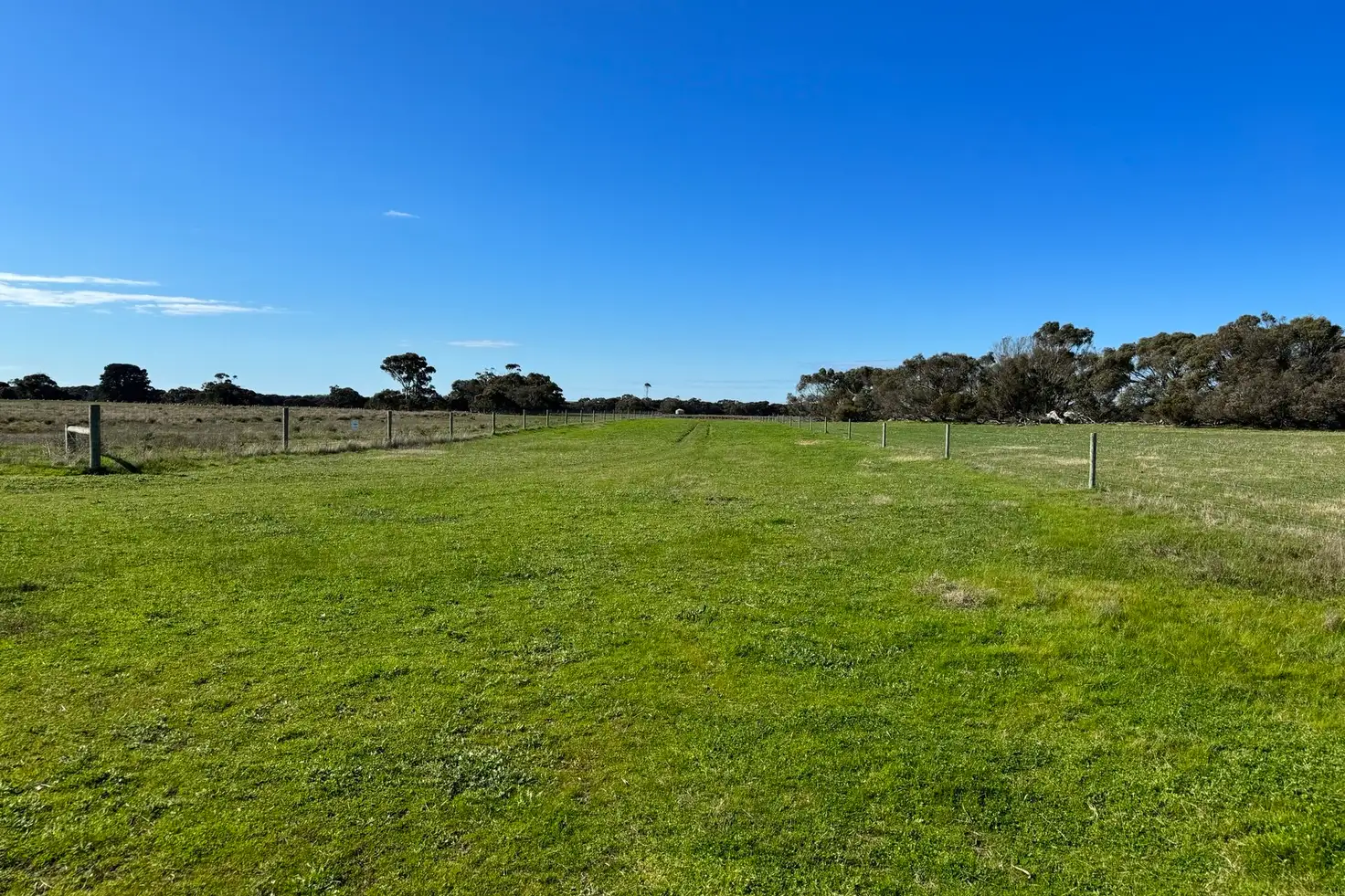 Main view of Homely rural property listing, 155 Birchmore Road, Birchmore SA 5223