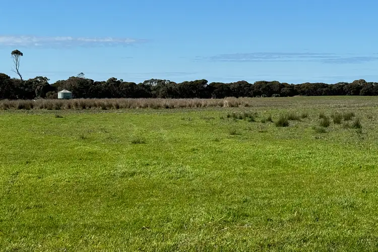Sixth view of Homely rural property listing, 155 Birchmore Road, Birchmore SA 5223
