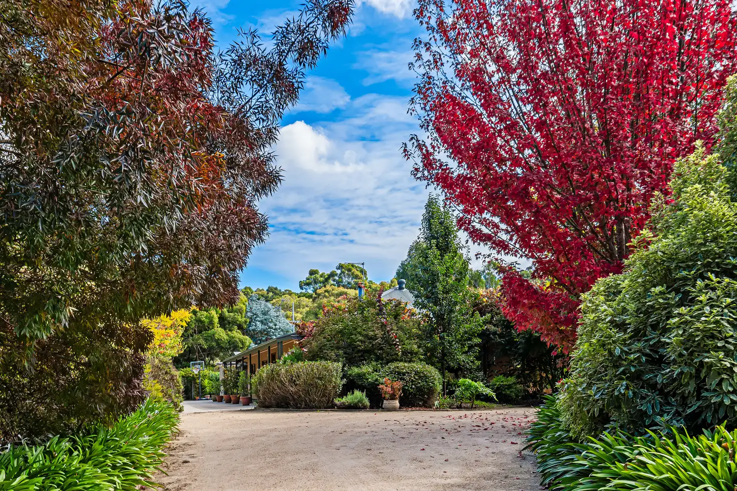 Main view of Homely house listing, 33 Ridge Road, Bradbury SA 5153