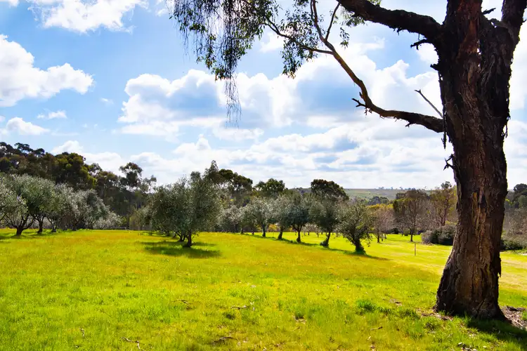 Third view of Homely land listing, 18 Davis Street, Guildford VIC 3451