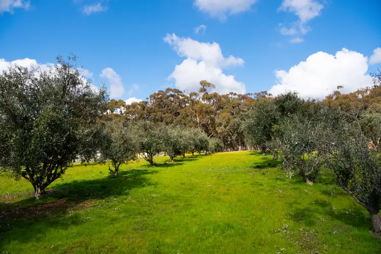 Fourth view of Homely land listing, 18 Davis Street, Guildford VIC 3451