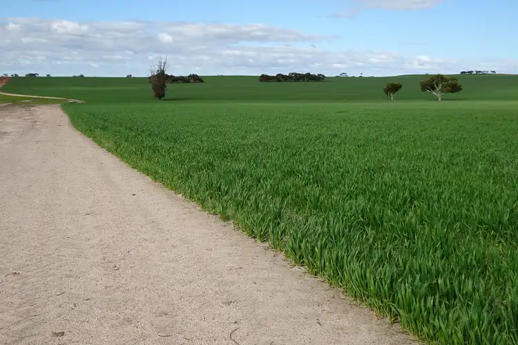 Third view of Homely rural property listing, 452 Painters Road, Collanilling WA 6315