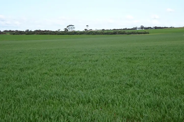 Seventh view of Homely rural property listing, 452 Painters Road, Collanilling WA 6315