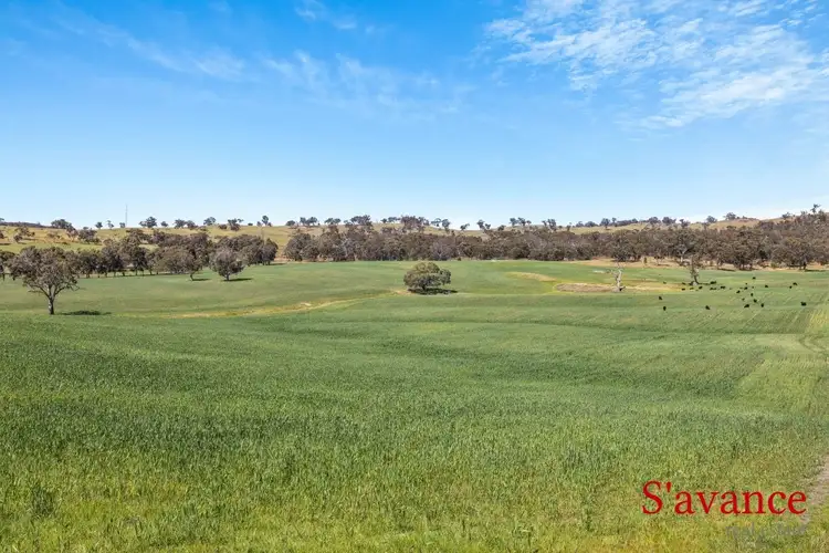 Lot 50 Fendlers Road, Tungkillo SA 5236