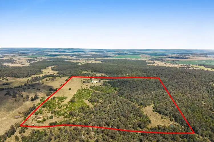 80 Boggs Road, Highland Plains QLD 4401