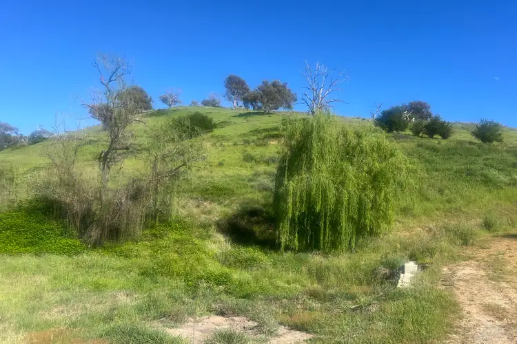 Third view of Homely rural property listing, Lot 55 Talgarno Gap Road, Bethanga VIC 3691