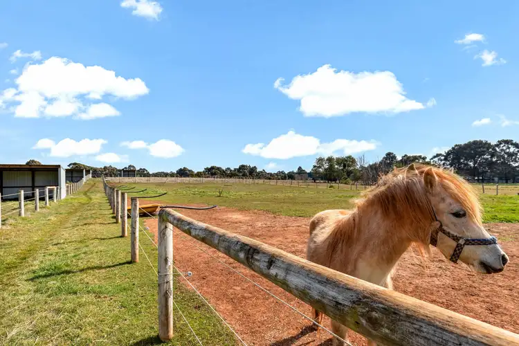 Second view of Homely rural property listing, 201 Avenue Of Honour, Woodend North VIC 3442