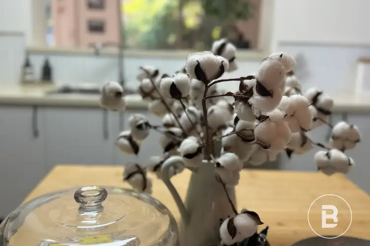 Sixth view of Homely house listing, 64 Dundas Street, Avoca VIC 3467