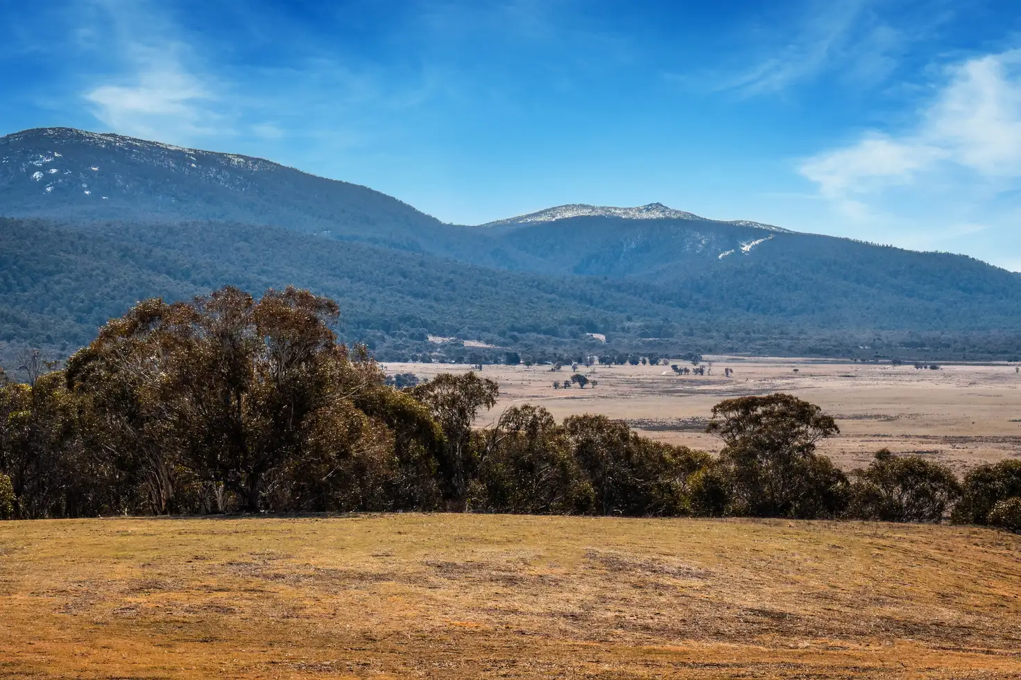 Main view of Homely rural property listing, 42 Outpost Road, Yaouk NSW 2629