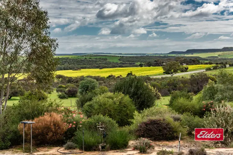 Main view of Homely rural property listing, 1668 Chapman Valley Road, Narra Tarra WA 6532
