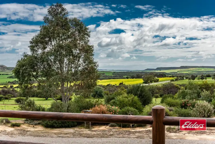 Fifth view of Homely rural property listing, 1668 Chapman Valley Road, Narra Tarra WA 6532