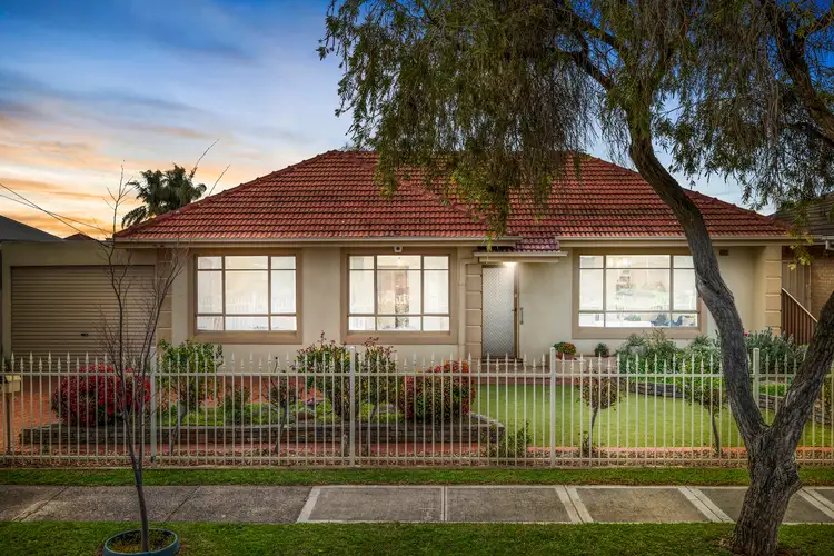 43 Allison Street, Ascot Park SA 5043