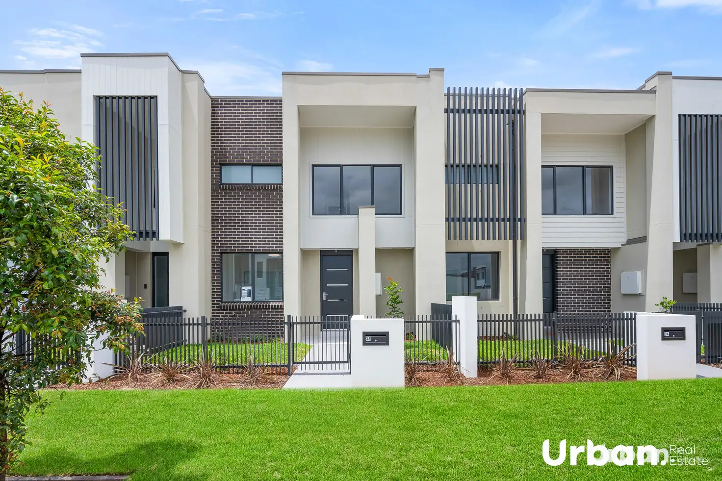 Main view of Homely house listing, 36 Brangus Loop, Oran Park NSW 2570