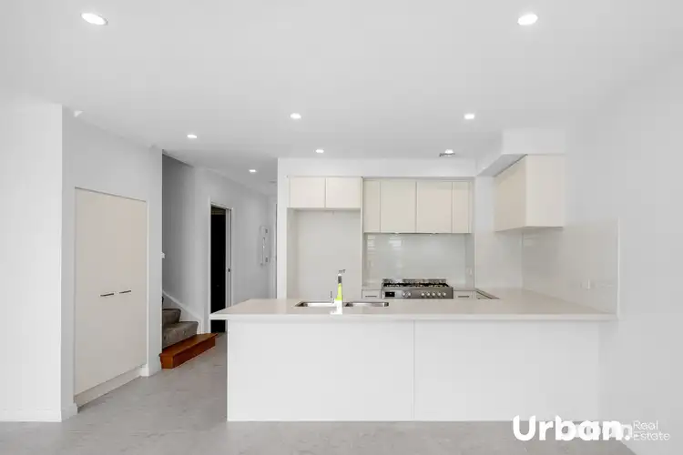 Second view of Homely house listing, 36 Brangus Loop, Oran Park NSW 2570