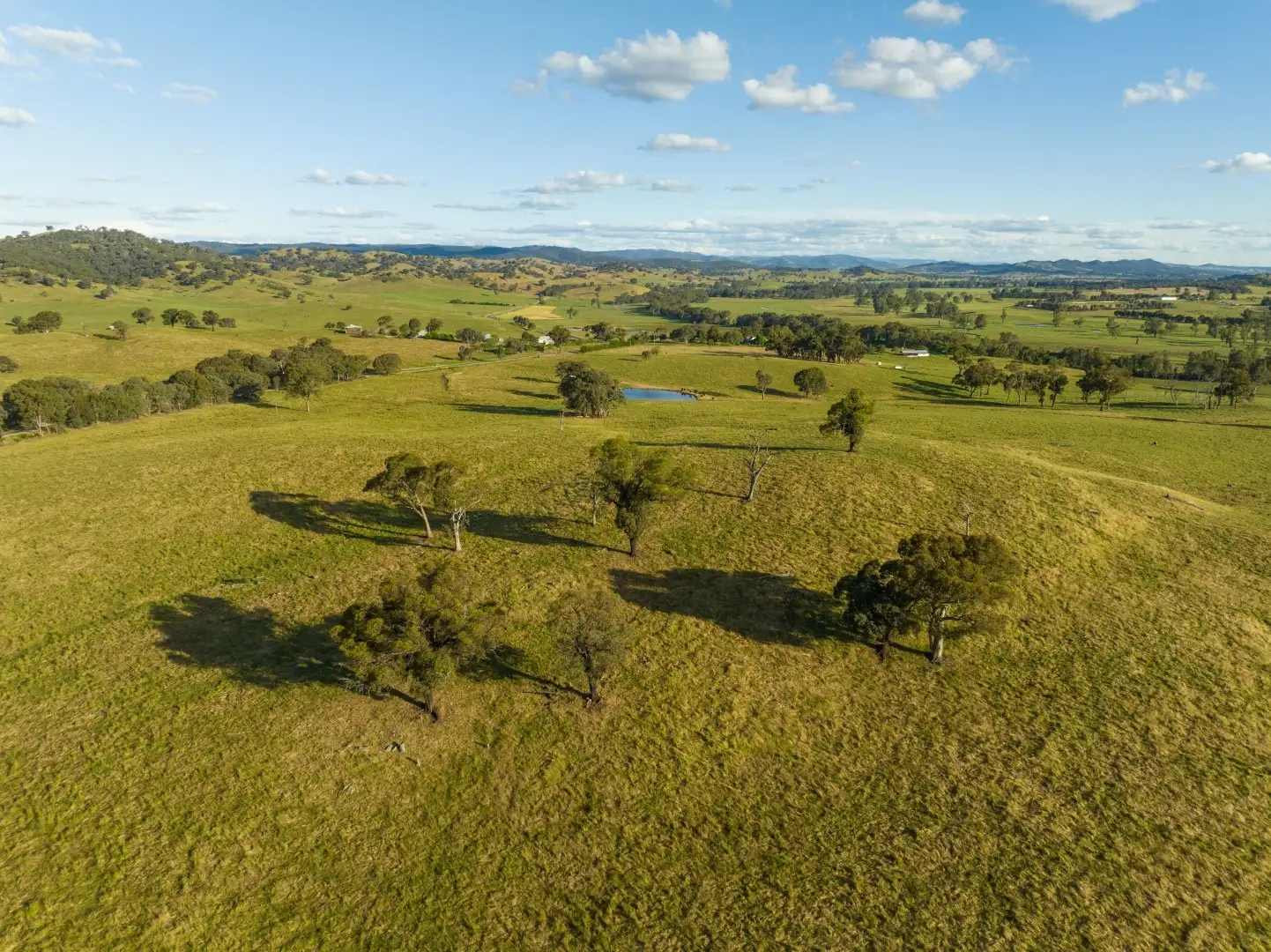 Main view of Homely rural property listing, 4276 Westbrook Road, Tarcutta NSW 2652