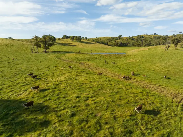 Fourth view of Homely rural property listing, 4276 Westbrook Road, Tarcutta NSW 2652