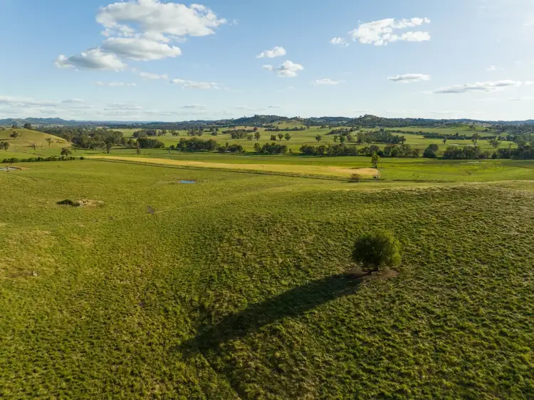 Fifth view of Homely rural property listing, 4276 Westbrook Road, Tarcutta NSW 2652
