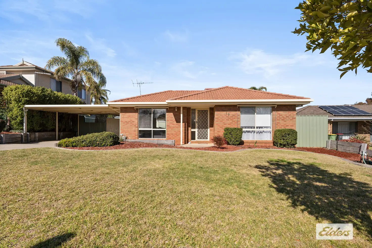 Main view of Homely house listing, 19 Berberick Court, Thurgoona NSW 2640