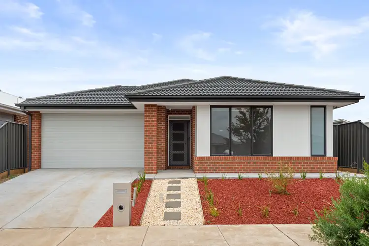 10 Findlay Avenue, St Leonards VIC 3223