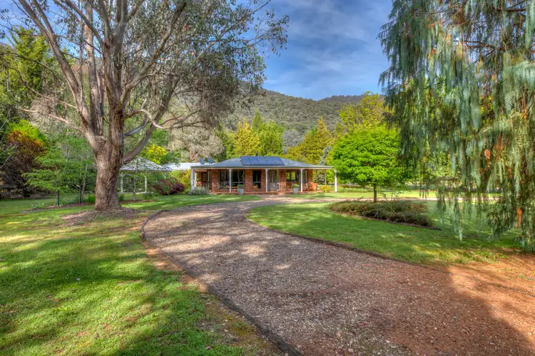 Main view of Homely house listing, 3 Pine Court, Freeburgh VIC 3741