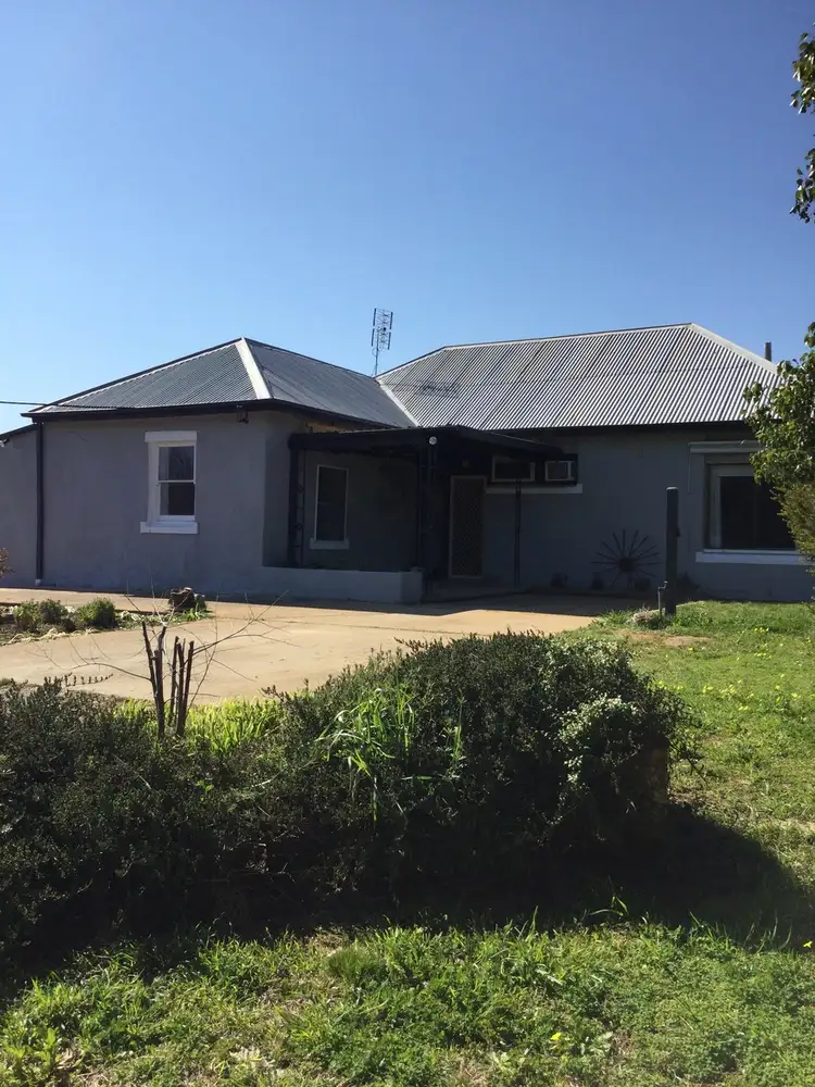 Main view of Homely house listing, 31 North Street, Harden NSW 2587