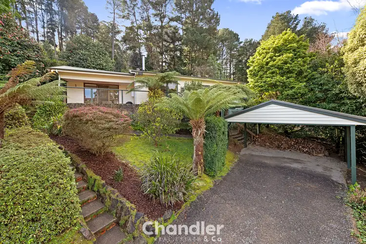 29 Blackwood Street, Tecoma VIC 3160