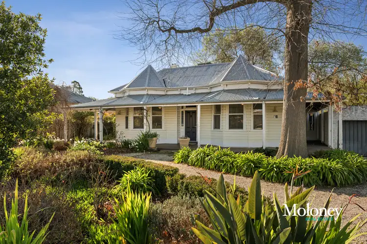 Main view of Homely house listing, 81 Ready Street, Rutherglen VIC 3685