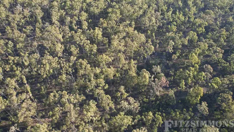 Fourth view of Homely rural property listing, Address available on request