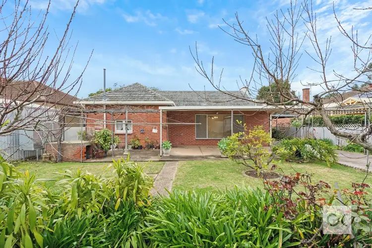 Fifth view of Homely house listing, 11 Allen Grove, Unley SA 5061