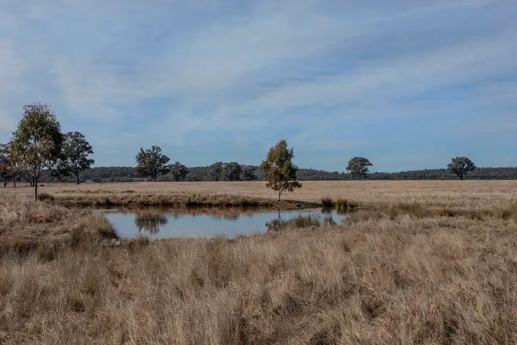 Second view of Homely land listing, 367 Stoney Hill Road, Cowra NSW 2794