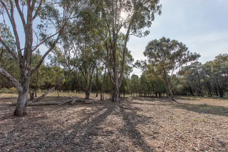 Fifth view of Homely land listing, 367 Stoney Hill Road, Cowra NSW 2794