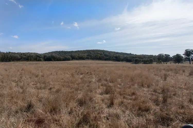 Seventh view of Homely land listing, 367 Stoney Hill Road, Cowra NSW 2794