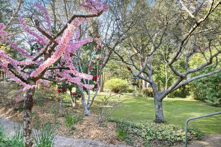 Third view of Homely house listing, 7 Wood Street, Wentworth Falls NSW 2782