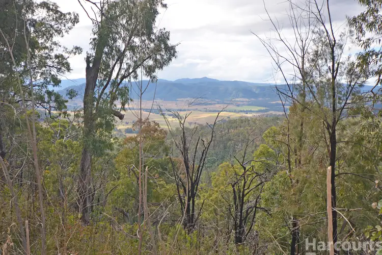 Main view of Homely rural property listing, 355 Costigans Road, Yarras NSW 2446