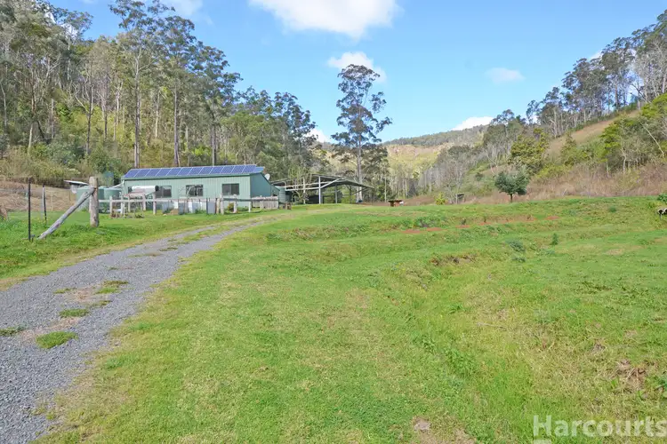 Second view of Homely rural property listing, 355 Costigans Road, Yarras NSW 2446