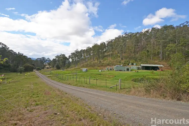 Fifth view of Homely rural property listing, 355 Costigans Road, Yarras NSW 2446