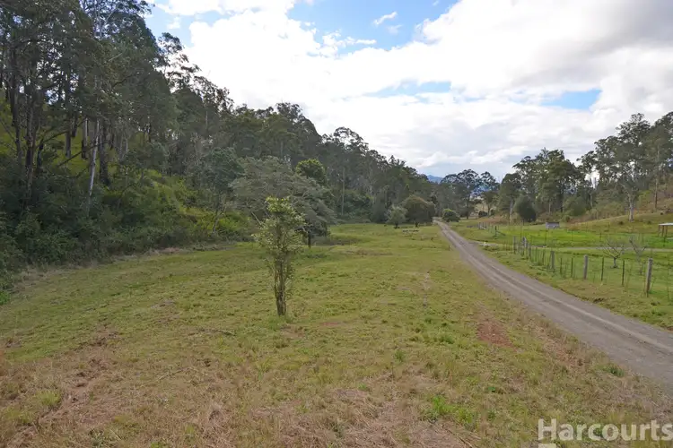 Sixth view of Homely rural property listing, 355 Costigans Road, Yarras NSW 2446