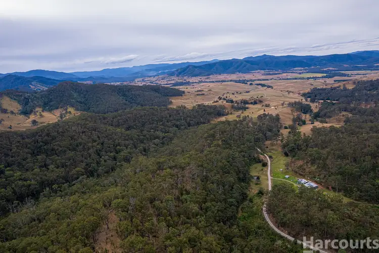 Seventh view of Homely rural property listing, 355 Costigans Road, Yarras NSW 2446