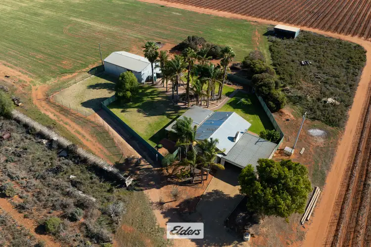 19 Alexanders Lane, Coomealla NSW 2717