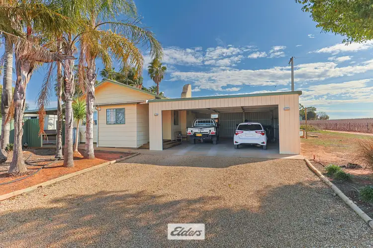 Second view of Homely rural property listing, 19 Alexanders Lane, Coomealla NSW 2717