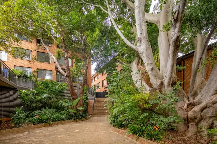 Second view of Homely apartment listing, 1/492-500 Elizabeth Street, Surry Hills NSW 2010