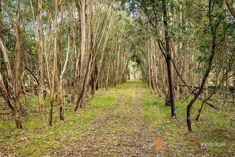 Fifth view of Homely land listing, 3493 Whittlesea-Yea Road, Flowerdale VIC 3717