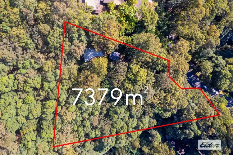 206 Tierney Drive, Currumbin Waters QLD 4223