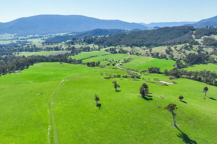 Third view of Homely rural property listing, 130 Martin Lane, Yackandandah VIC 3749