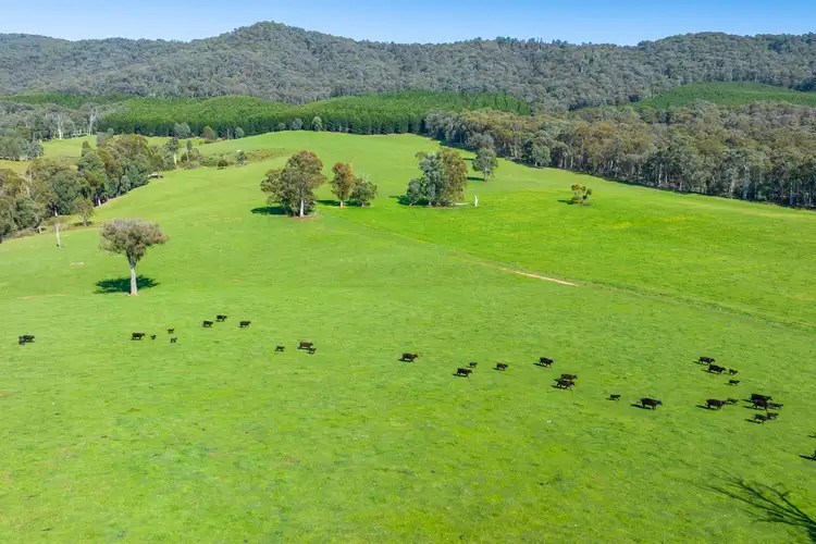 Seventh view of Homely rural property listing, 130 Martin Lane, Bruarong VIC 3749