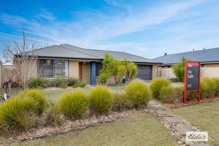 Main view of Homely house listing, 17 Britton Court, Jindera NSW 2642